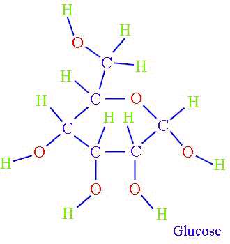 mindfiesta